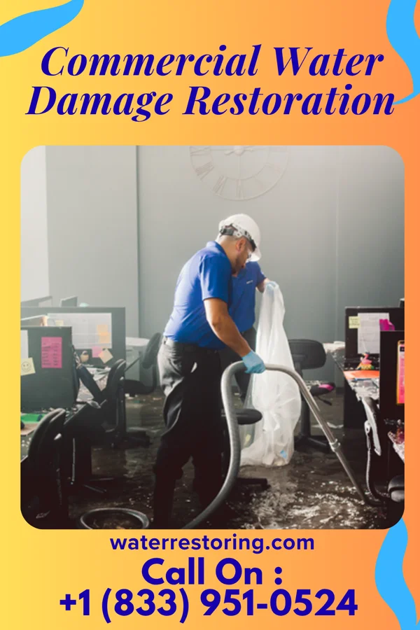 Commercial Water Damage Restoration in Picture Rocks, AZ